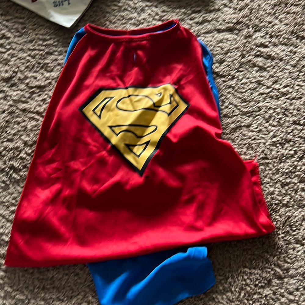 Superman dog costume